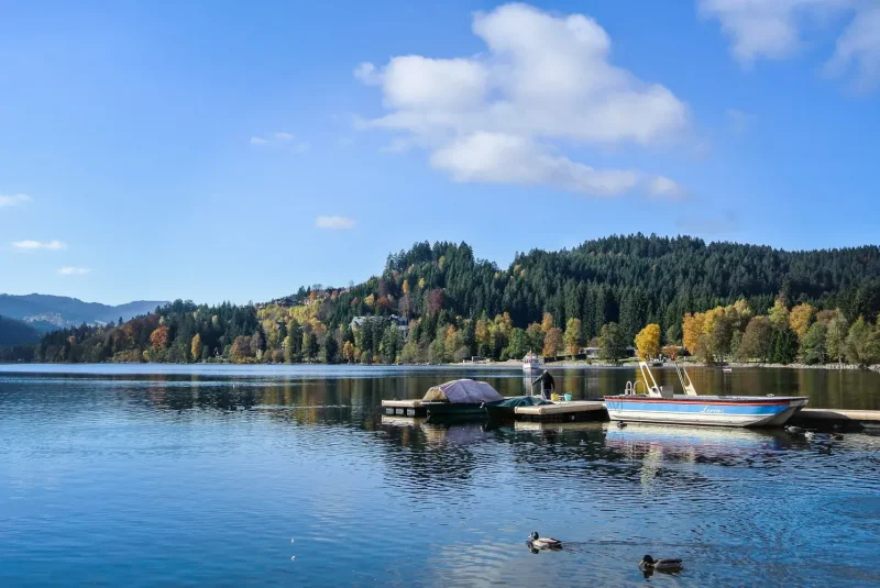 que ver en la Selva Negra Titisee