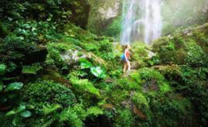 Top 10 de actividades ecoturísticas para realizar en tu próximo viaje