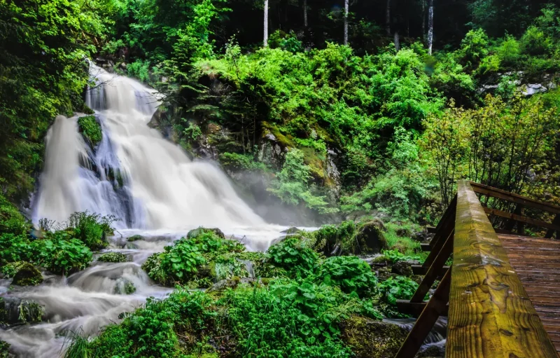 que ver en la Selva Negra Triberg