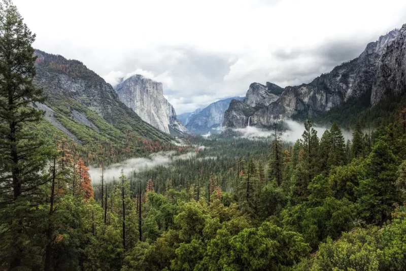 mejores parques nacionales en estados unidos Yosemite