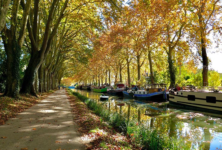 Qué ver en Carcasona: canal du midi