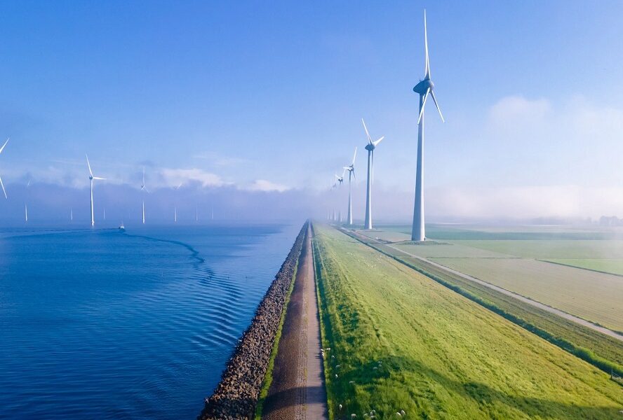 Armando Iachini - Energía verde; Sabes de qué trata y cuáles son sus beneficios - FOTO