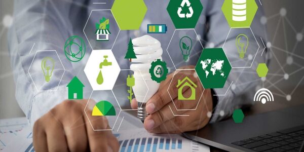 Fundación Yammine - Negocios ecológicos; ¡Alternativa ideal para combatir el deterioro ambiental! - FOTO