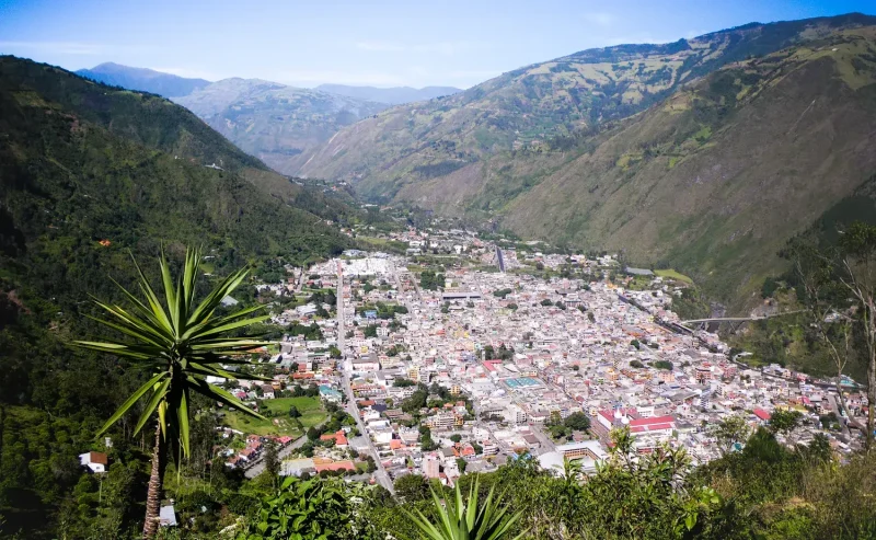 mirador