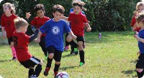 Proceso de selección de talentos en el deporte escolar: cómo funciona image 1 - Proceso de selección de talentos en el deporte escolar: cómo funciona