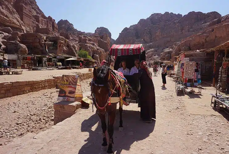 Maltrato animal en Petra