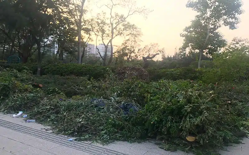 Parque Victoria Hong Kong