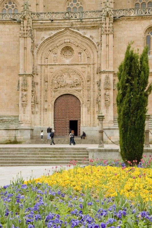 Salamanca fachada catedral y flores → LA VIAJERA EMPEDERNIDA Salamanca fachada catedral y flores