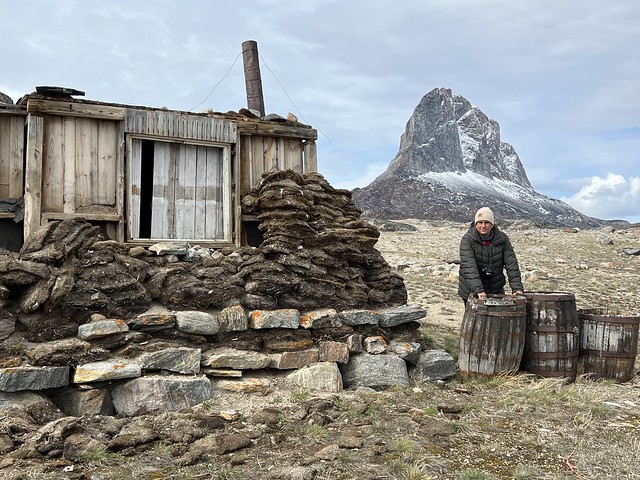 Sele junto a una casa de turba en Ikerasak (Groenlandia)