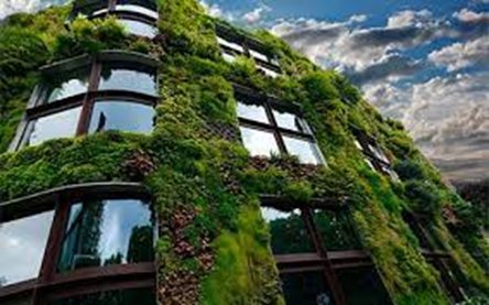 Los beneficios de las fachadas verdes: Un enfoque sostenible para mejorar los edificios Camilo Ibrahim Issa - Los beneficios de las fachadas verdes: Un enfoque sostenible para mejorar los edificios