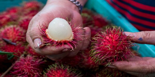 Francesco Lovaglio Tafuri - ¡Conócelas! Y las 10 frutas más exóticas del mundo son - FOTO