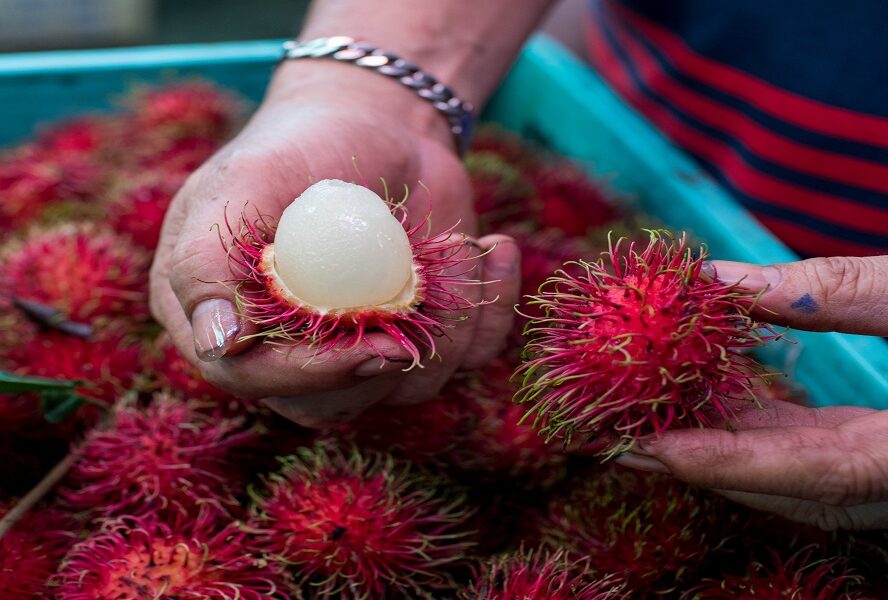 Francesco Lovaglio Tafuri - ¡Conócelas! Y las 10 frutas más exóticas del mundo son - FOTO