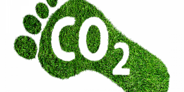 Fundación Yammine - ¡Entérate! ¡Importancia de conocer la huella de carbono! - FOTO