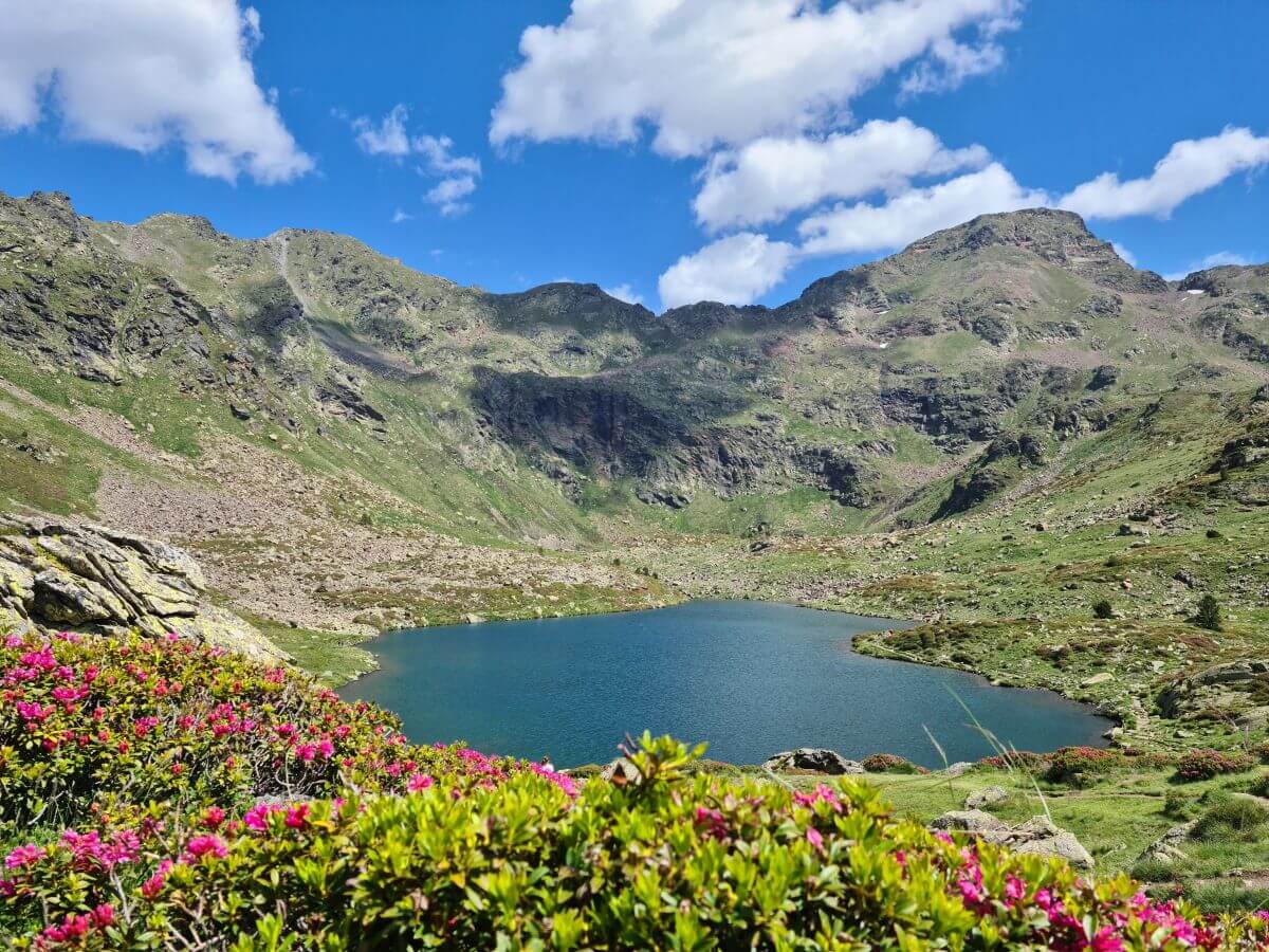 Lagos de Tristaina