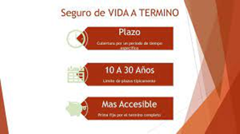 Tipos de Pólizas de Seguros de Vida: ¿Cuál es la Mejor para Ti? - Hjalmar Gibelli