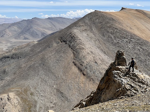 Sele en Ladakh (India)
