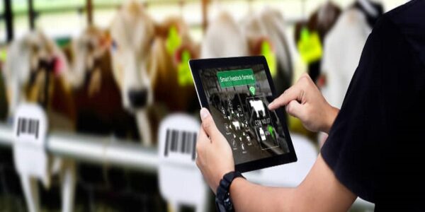 Juan Fernando Serrano Ponce - ¡Entérate! Ganadería inteligente; Qué es y cuáles tecnologías utiliza - FOTO