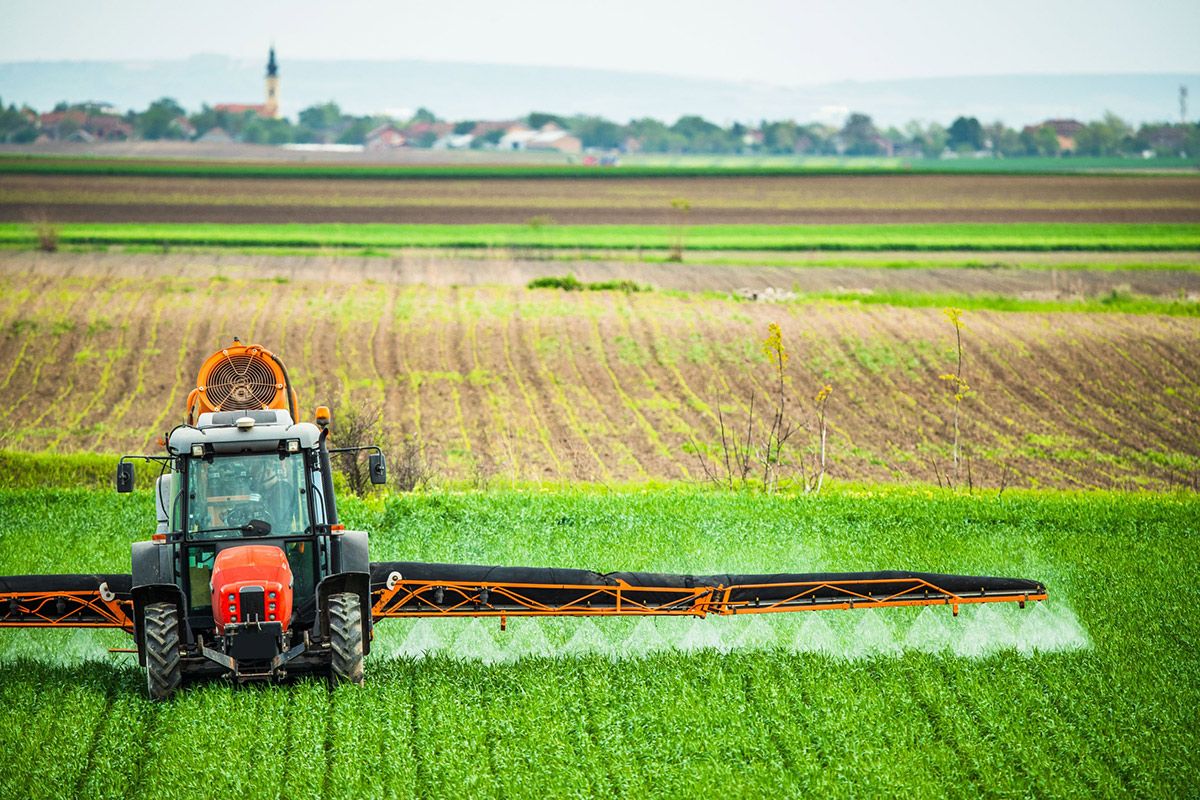 glyphosate