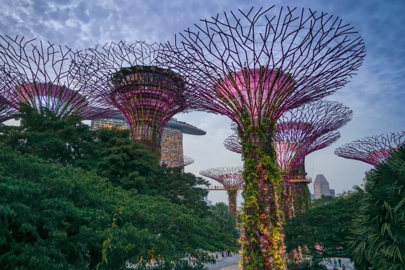 que hacer en Singapur que hacer en Singapur