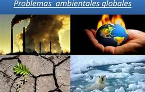 Un llamado a la acción por la sostenibilidad