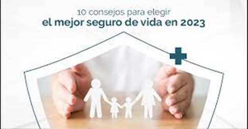 Los Mejores Seguros de Vida Riesgo en 2023: Comparativa de Precios y Coberturas image 2 - Los Mejores Seguros de Vida Riesgo en 2023: Comparativa de Precios y Coberturas