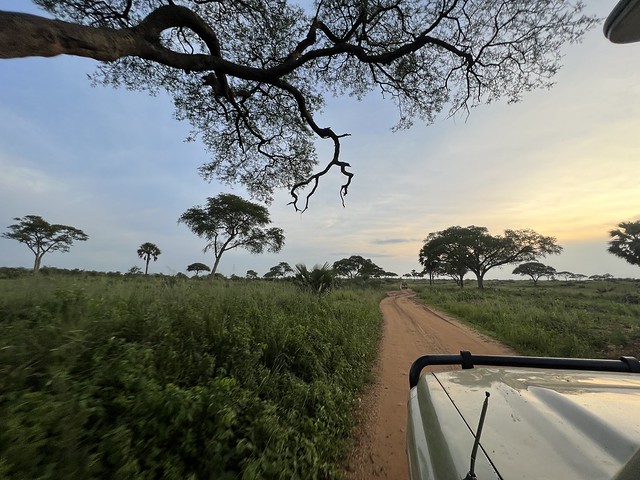 Vehículo de safari en Uganda