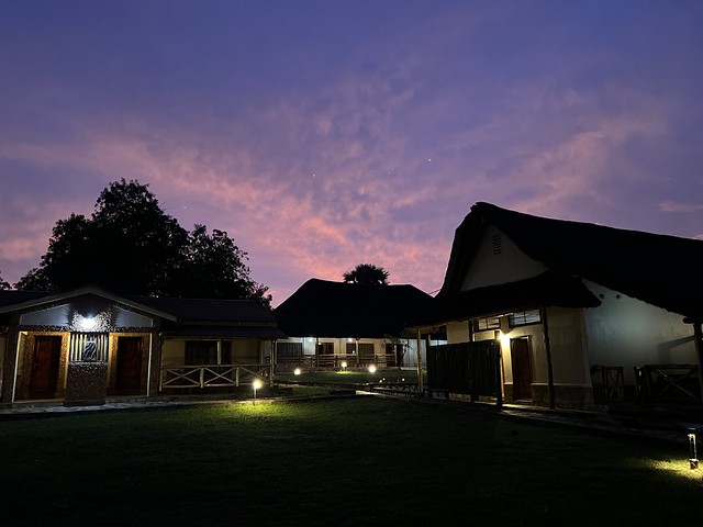 Pakuba Lodge en Parque Nacional Murchison Falls (Uganda)