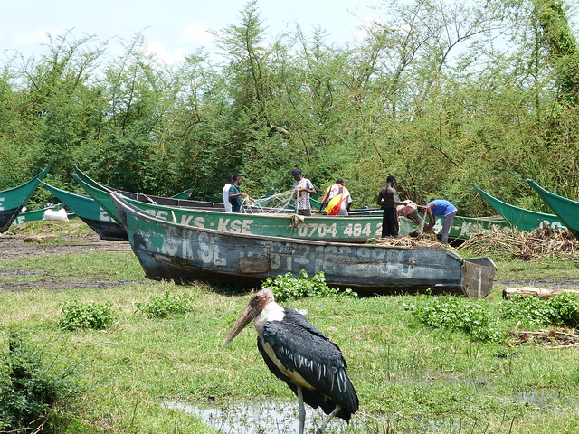 Pescadores y marabú en la aldea ugandesa de Kasenyi