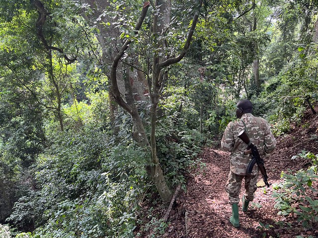 Senderismo en la Garganta de Kyambura (Uganda)