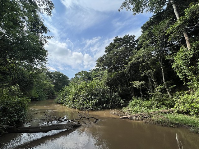 Río Kyambura (Uganda)