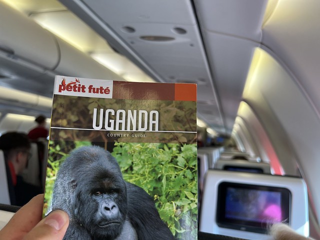 Ver a los gorilas de montaña es uno de los grandes objetivos por parte de quienes visitan Uganda