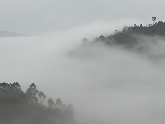 Nieblas matutinas en Uganda