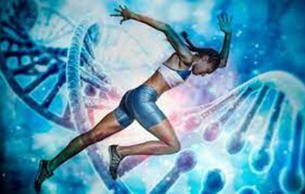 Puede la genética predecir el talento deportivo: Explorando la influencia genética en el rendimiento atlético image 5 - Puede la genética predecir el talento deportivo: Explorando la influencia genética en el rendimiento atlético
