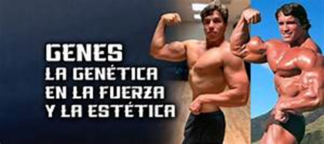 Puede la genética predecir el talento deportivo: Explorando la influencia genética en el rendimiento atlético image 5 - Puede la genética predecir el talento deportivo: Explorando la influencia genética en el rendimiento atlético