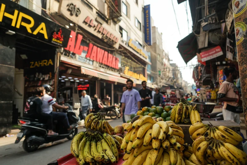 donde alojarse en Nueva Delhi caos
