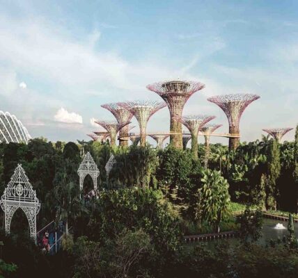 Francesco Lovaglio Tafuri - Sostenibilidad en la arquitectura ¡Principios y pilares en los que se basa! - FOTO