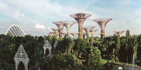 Francesco Lovaglio Tafuri - Sostenibilidad en la arquitectura ¡Principios y pilares en los que se basa! - FOTO