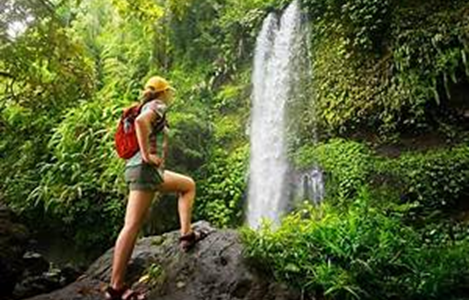 Naturaleza y Sostenibilidad en Armonía