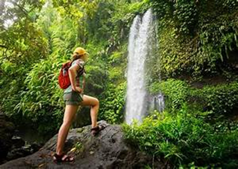 Naturaleza y Sostenibilidad en Armonía