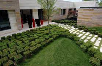 Un Arte que Conecta con la Naturaleza