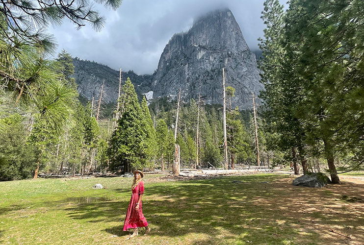 Cómo visitar Yosemite National Park