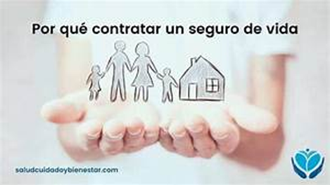 5 seguros indispensables para proteger a tu familia en cualquier situación - Hjalmar Gibelli