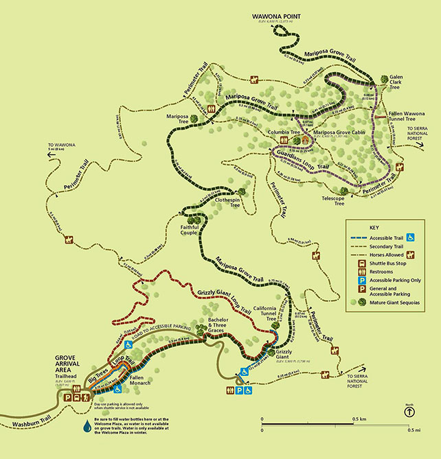 Mapa de Mariposa Grove