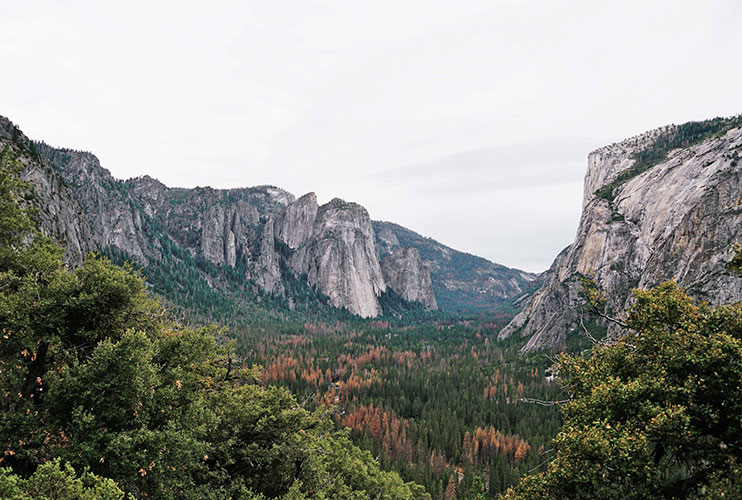 Sentinel Dome