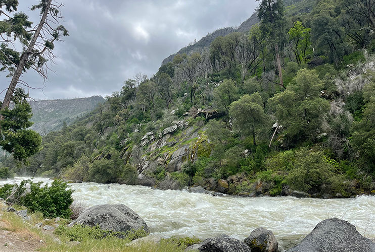 Cómo visitar Yosemite