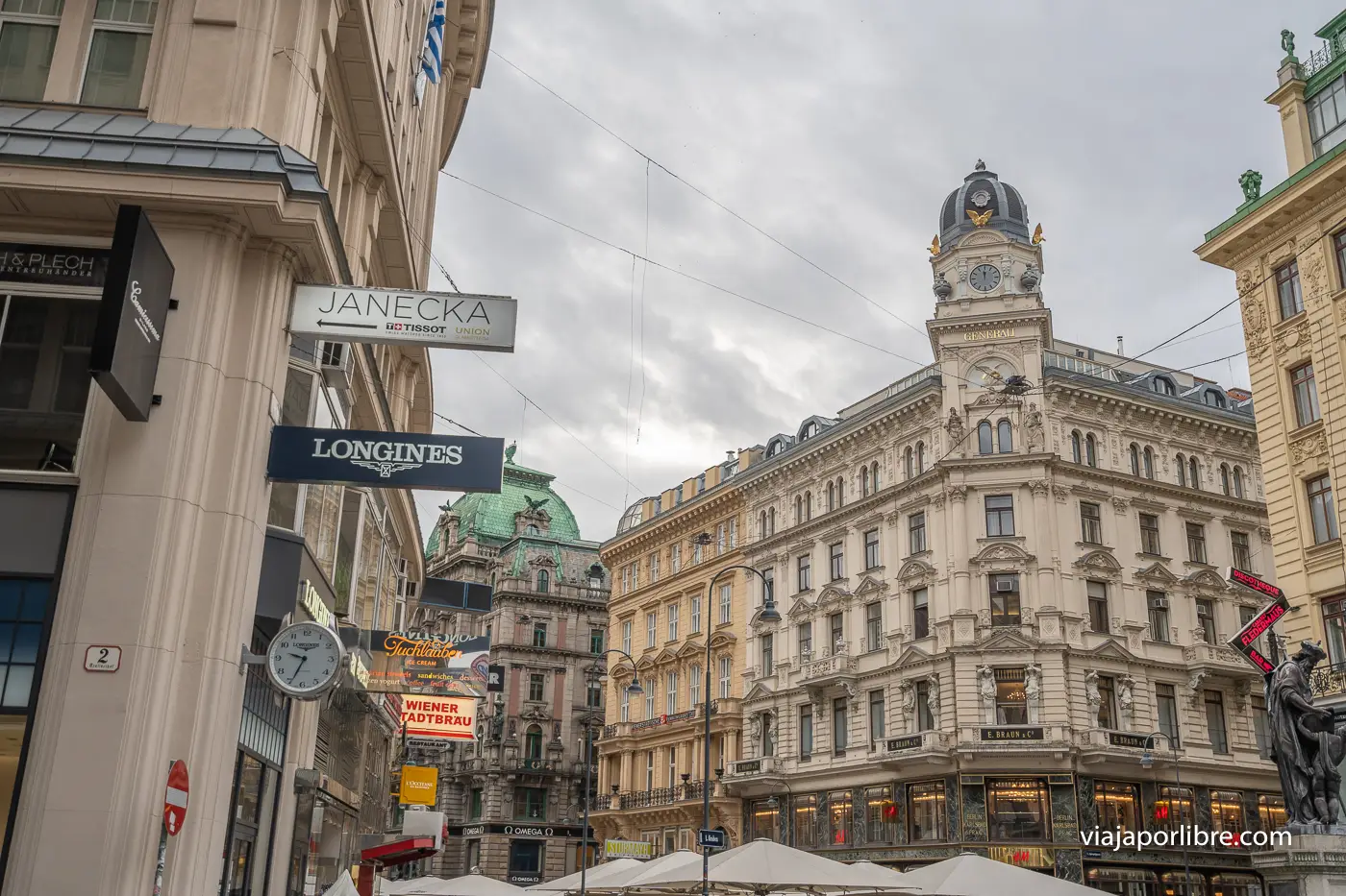 Viena