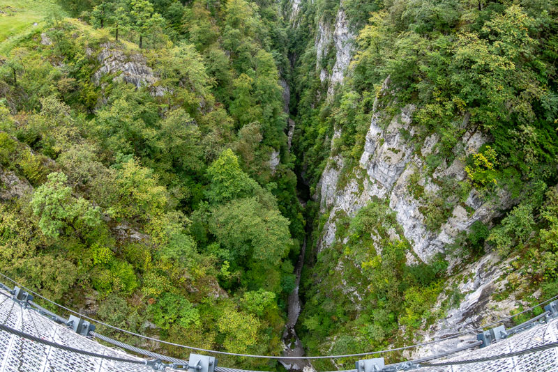 Pasarela Holzarte Garganta Desde Centro