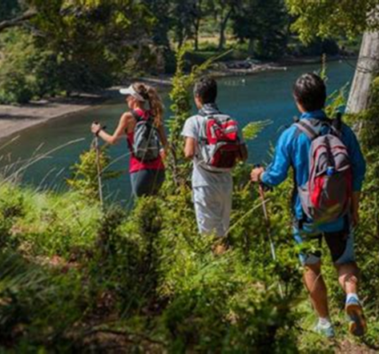 Actividades para Disfrutar en una Reserva Natural