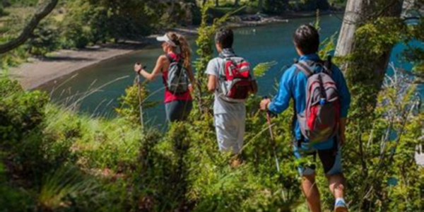 Actividades para Disfrutar en una Reserva Natural