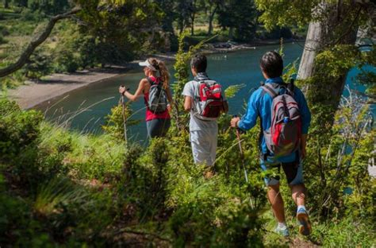 Actividades para Disfrutar en una Reserva Natural